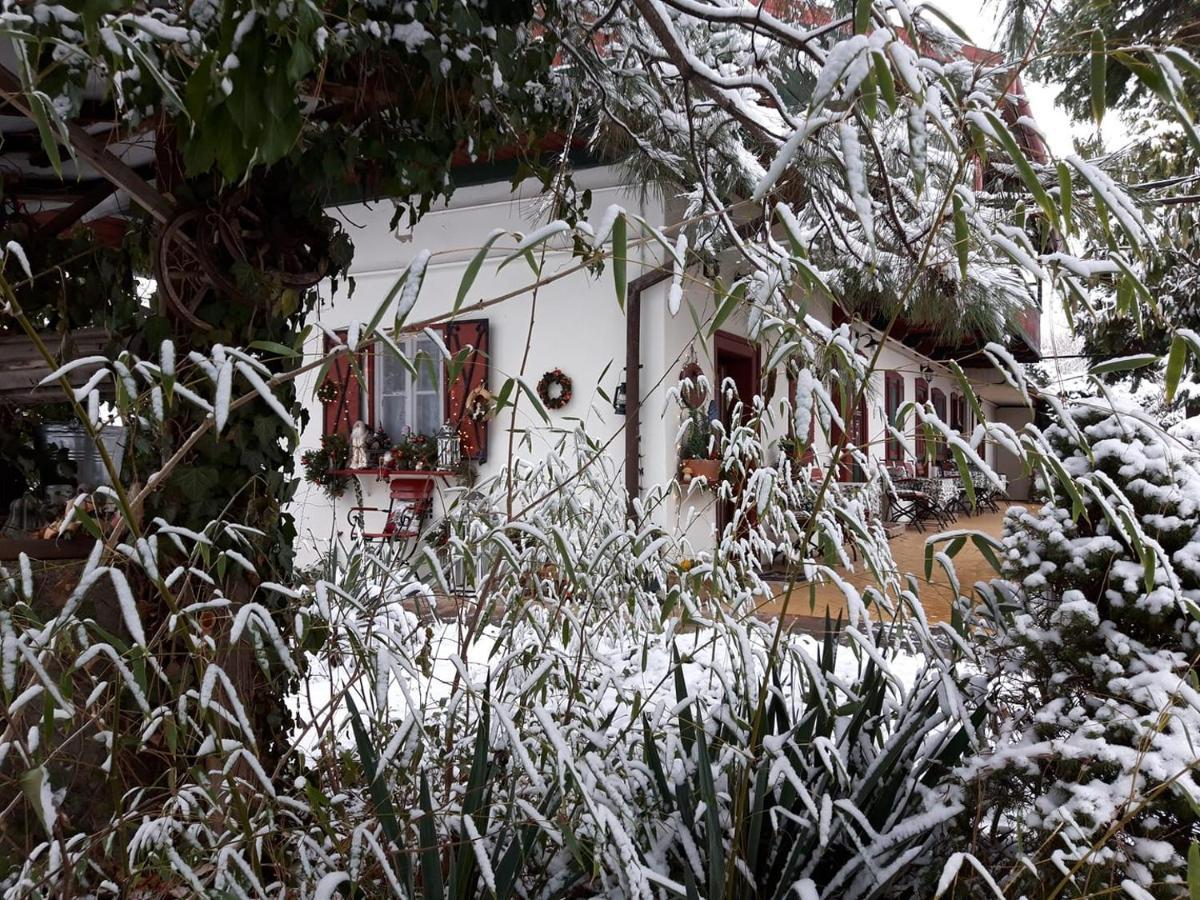 Garten Vendeghaz Eger Zewnętrze zdjęcie