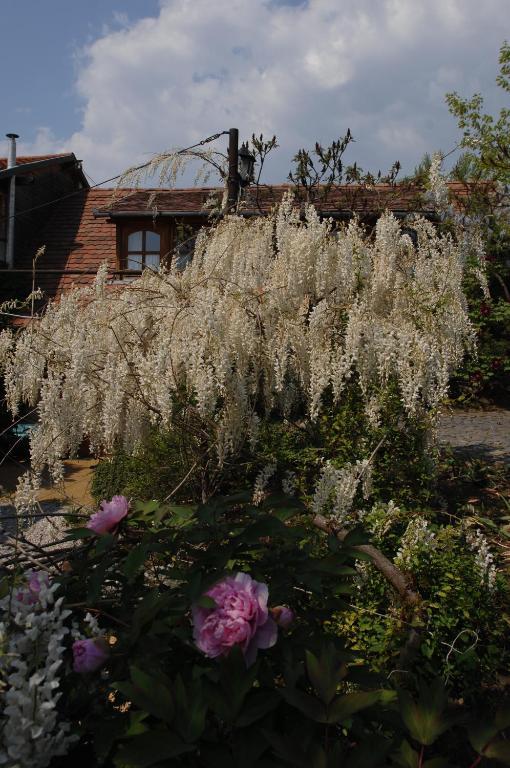 Garten Vendeghaz Eger Zewnętrze zdjęcie