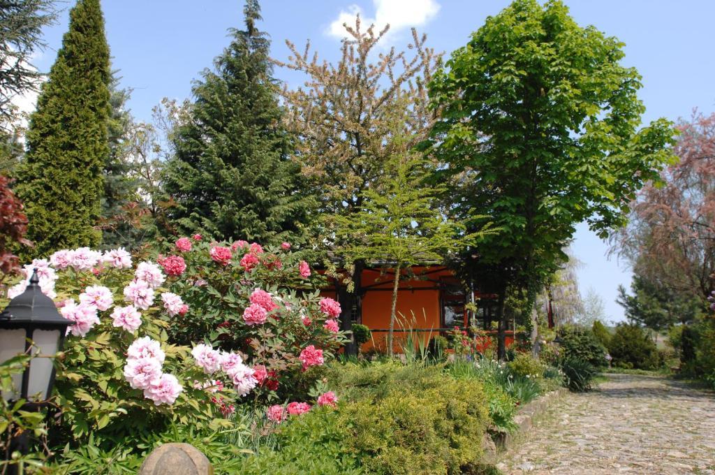 Garten Vendeghaz Eger Zewnętrze zdjęcie