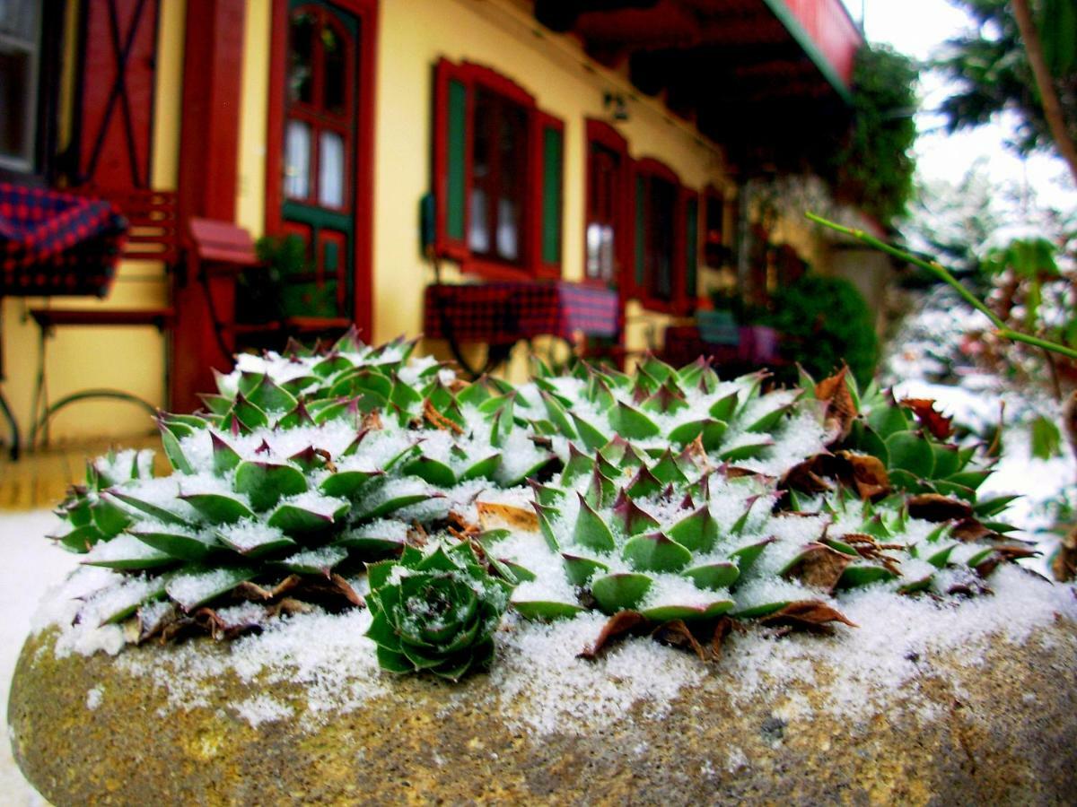 Garten Vendeghaz Eger Zewnętrze zdjęcie