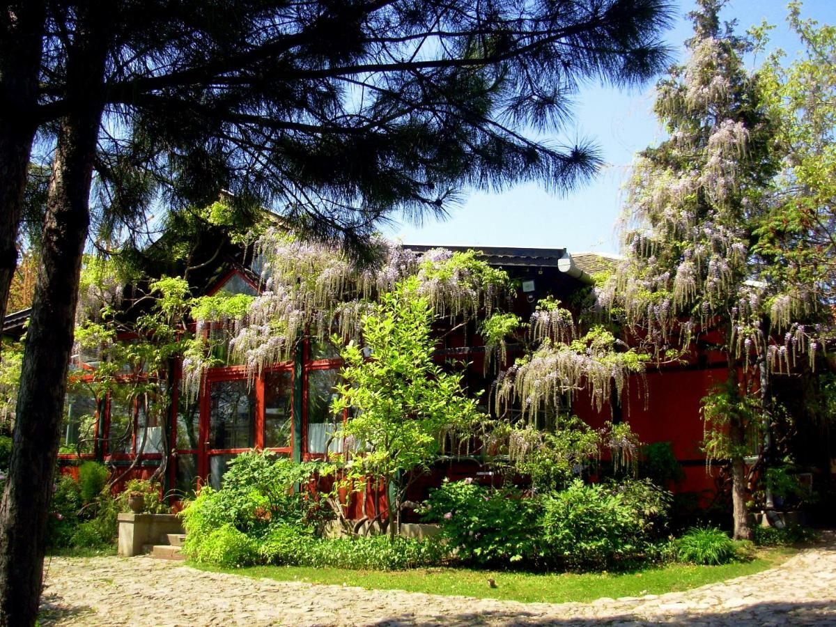 Garten Vendeghaz Eger Zewnętrze zdjęcie