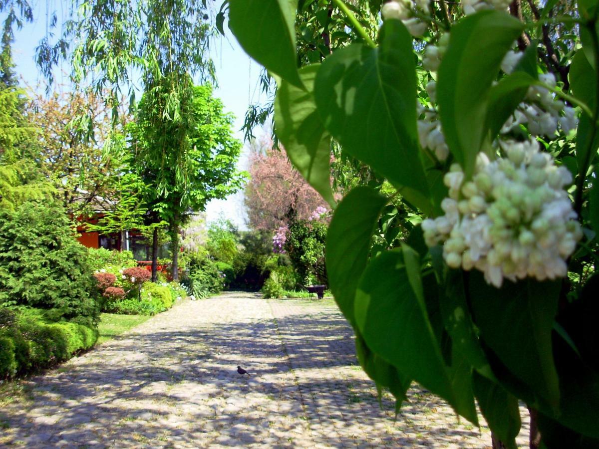 Garten Vendeghaz Eger Zewnętrze zdjęcie