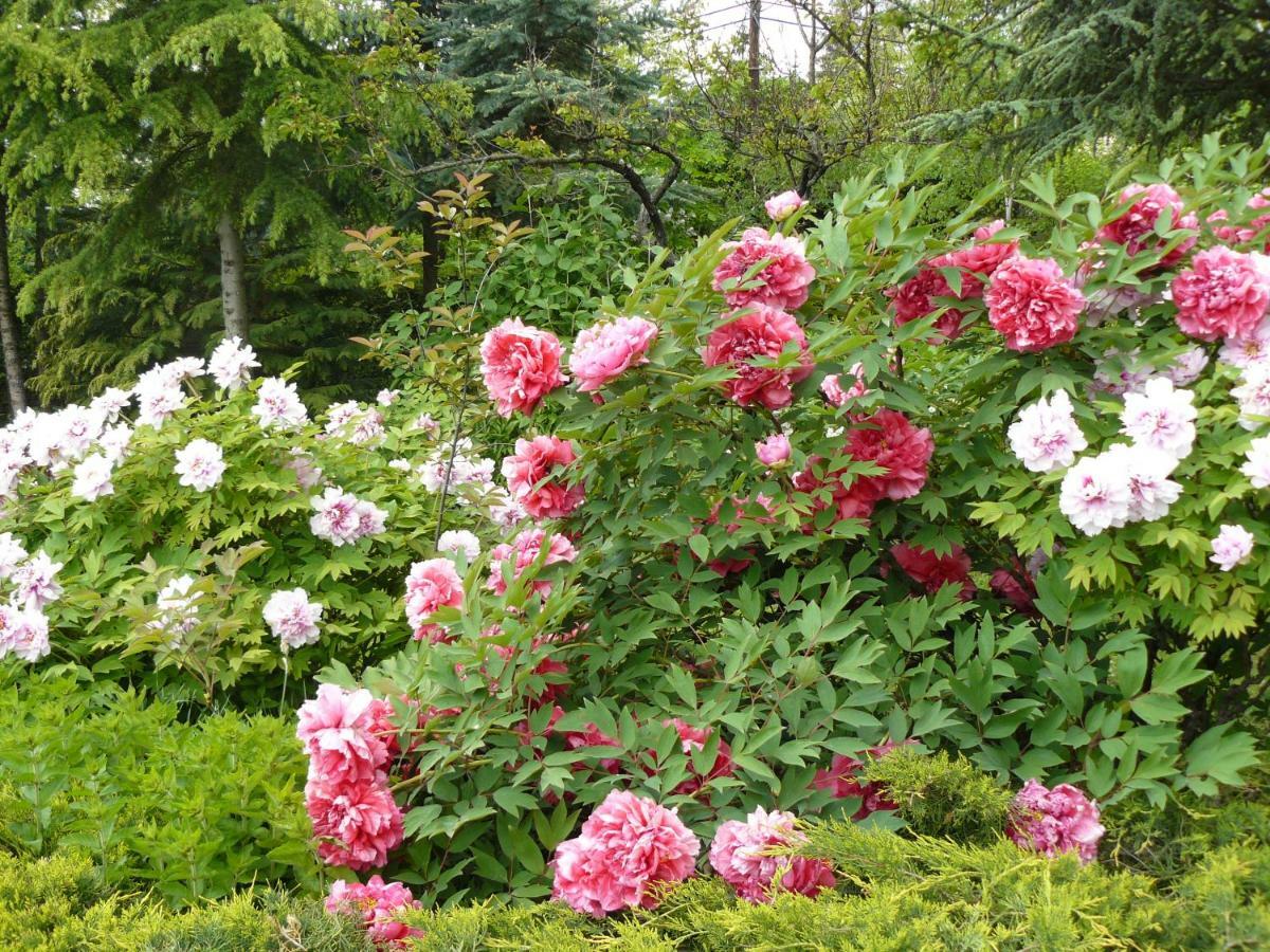 Garten Vendeghaz Eger Zewnętrze zdjęcie